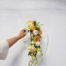 디자인휴먼 이미지