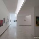 하니온 허브 이미지