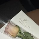 (주)노블건설 | #1 강남 밝은 웨딩홀 상담후기 : 셀럽앤어셈, 더채플앳논현, 노블발렌티삼성 - 최종결정 셀럽앤어셈