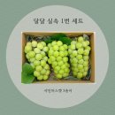 달달상자 일산점