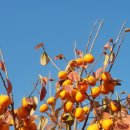 장중은농장 이미지