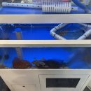 박가네 생대구탕 이미지