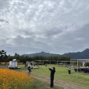 (주)코스모스지