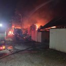 천안메추리농장 이미지