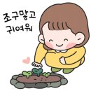 빨간여우미용실 - 칠곡군 동중리10길 22 | 빨간여우미용실