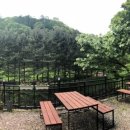 소나무집민박 이미지