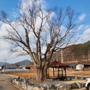 삼지수변공원 이미지