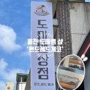 헌드레드게코 | 홍천 도마뱀샵 새로 오픈한 '헌드레드게코' 도마뱀상점 방문후기🦎