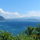 푸른 제주 이미지