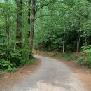 진덕사입구 이미지