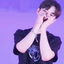 썬샤인 이미지