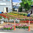 안강4리 이미지