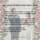[블랑무드스튜디오] 웨딩드레스와 수트를 무제한 무료로 입을 수 있는 단독대관 서울 셀프웨딩스튜디오...