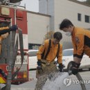 울진대원정비
