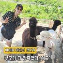 성진게임월드 | 6월 서울 근교 갈만한곳 춘천 알파카월드 당일치기 여행 추천후기