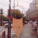 솜(SSOM)
