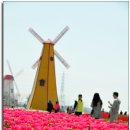 대부바다향기 테마파크 이미지