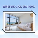 유채꽃길에머문시간