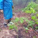 다오동물병원 이미지