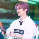 스테이노트 이미지