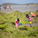 한마음오토캠핑장 이미지