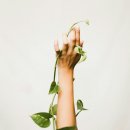 365힘찬한의원 이미지