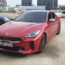 에스(S)게러지 이미지