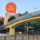 동안초등학교 옆 이미지