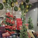 🎄 (늦은 후기) 부산 커넥트현대 크리스마스 트리 – 도심 속 환상적인 겨울왕국