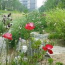 우시장천 이미지