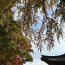 바람처럼구름처럼 이미지