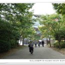 판교 인공암벽장 이미지