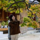 청사로-11 이미지