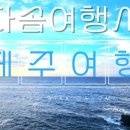 샤크존주식회사 이미지