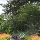 내죽도공원 이미지