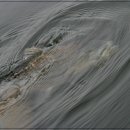 헤라낚시터 이미지