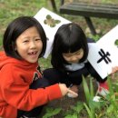 대구프뢰벨유치원 이미지