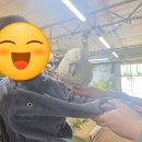 돌앤돈 | [청주실내동물원 데이트] 두 돌 아기랑 '버드앤쥬' 주말 방문 후기! 🐐🦜🐶