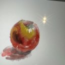 신라이사부독도참치 이미지