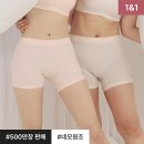 안입은듯