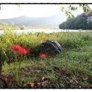 다시가고싶은 이미지