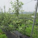 선재농장 이미지