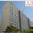 서구-02-103 네이버블로그