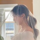 희은