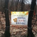 우면산6-13 이미지