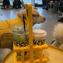 카페훈트 이미지