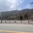 대성산채식당 이미지