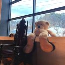 카페스크린 | 세종 초대형 카페 시선293 다녀옴｜아이랑 가기 좋은 대형카페 (스크린·좌석·빵 후기)