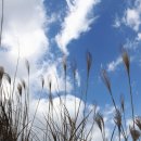 한림한의원 이미지