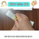 펩아트10 달팽이 만드는법 : 업사이클링, 폴딩북, 북폴딩 이미지